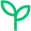 Plant Icon